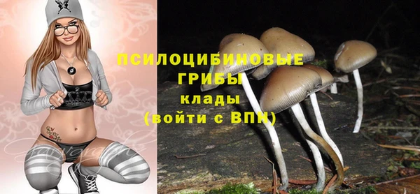 хмурый Лиски