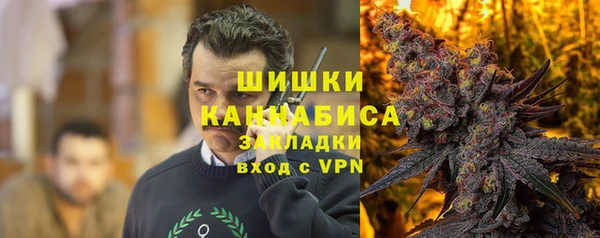 2c-b Мегион