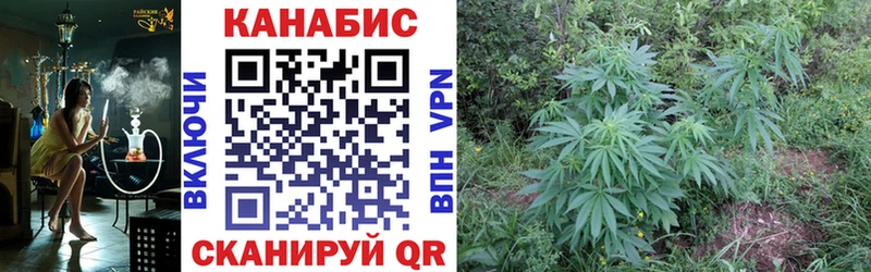 МАРИХУАНА White Widow Тутаев